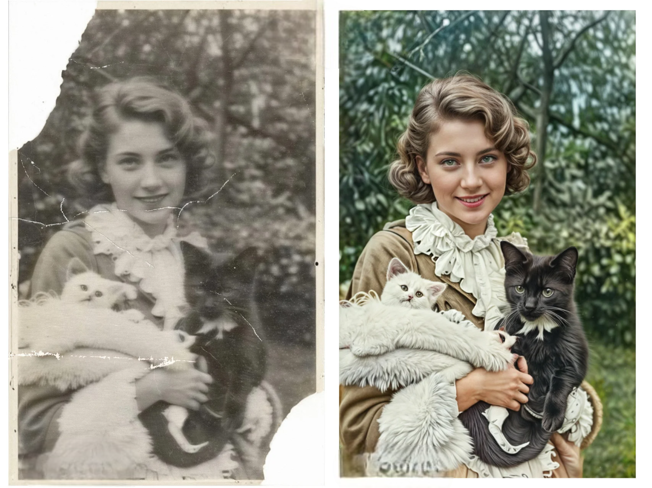 Foto Restauratie